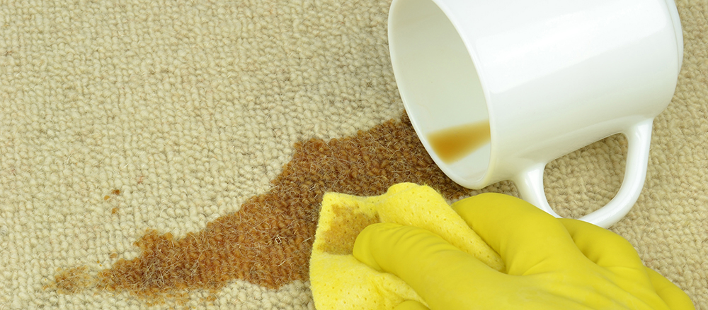 How to Remove Carpet Stains [Top 5 Carpet stains]